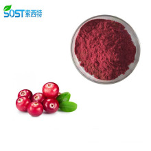Hot Selling Wholesale Fresh Cranberry Juice Extract Powder